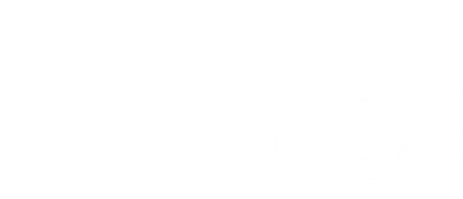 Susi.Live Logo